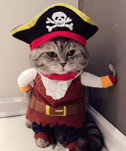 Piratenkostuum voor kat
